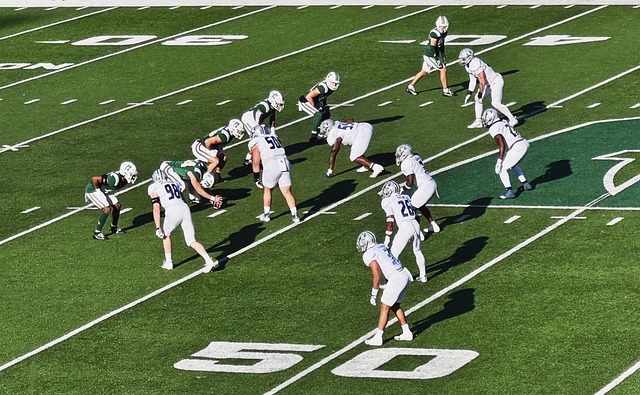 不仅是对全 不仅是对全