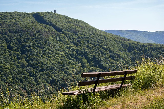 斗志